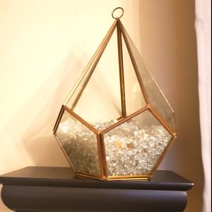 - Geometeic Gold Glass Terrarium